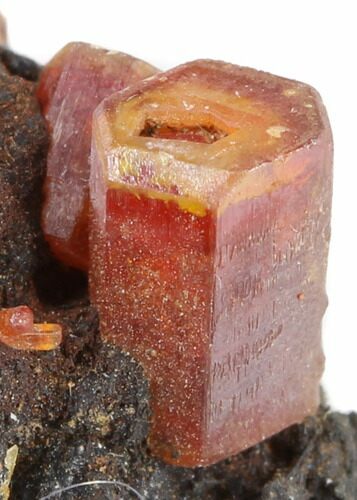 Red Vanadinite Crystals on Matrix - Morocco #38471